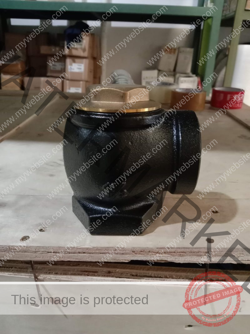 Angle Check Valve 1.5