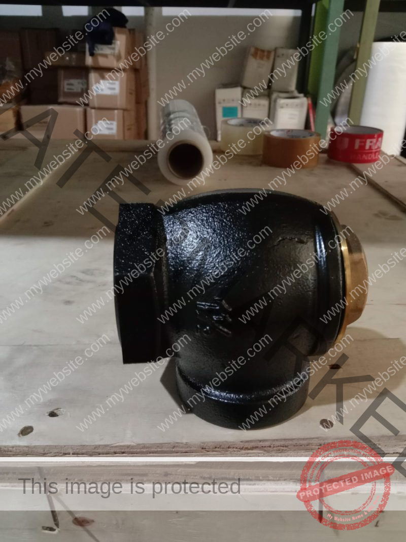Angle Check Valve 1.5 - Image 2