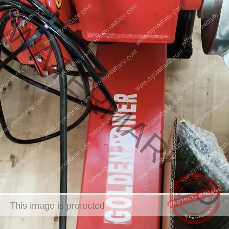Golden Power Tyre Changer DS-598 - Image 2